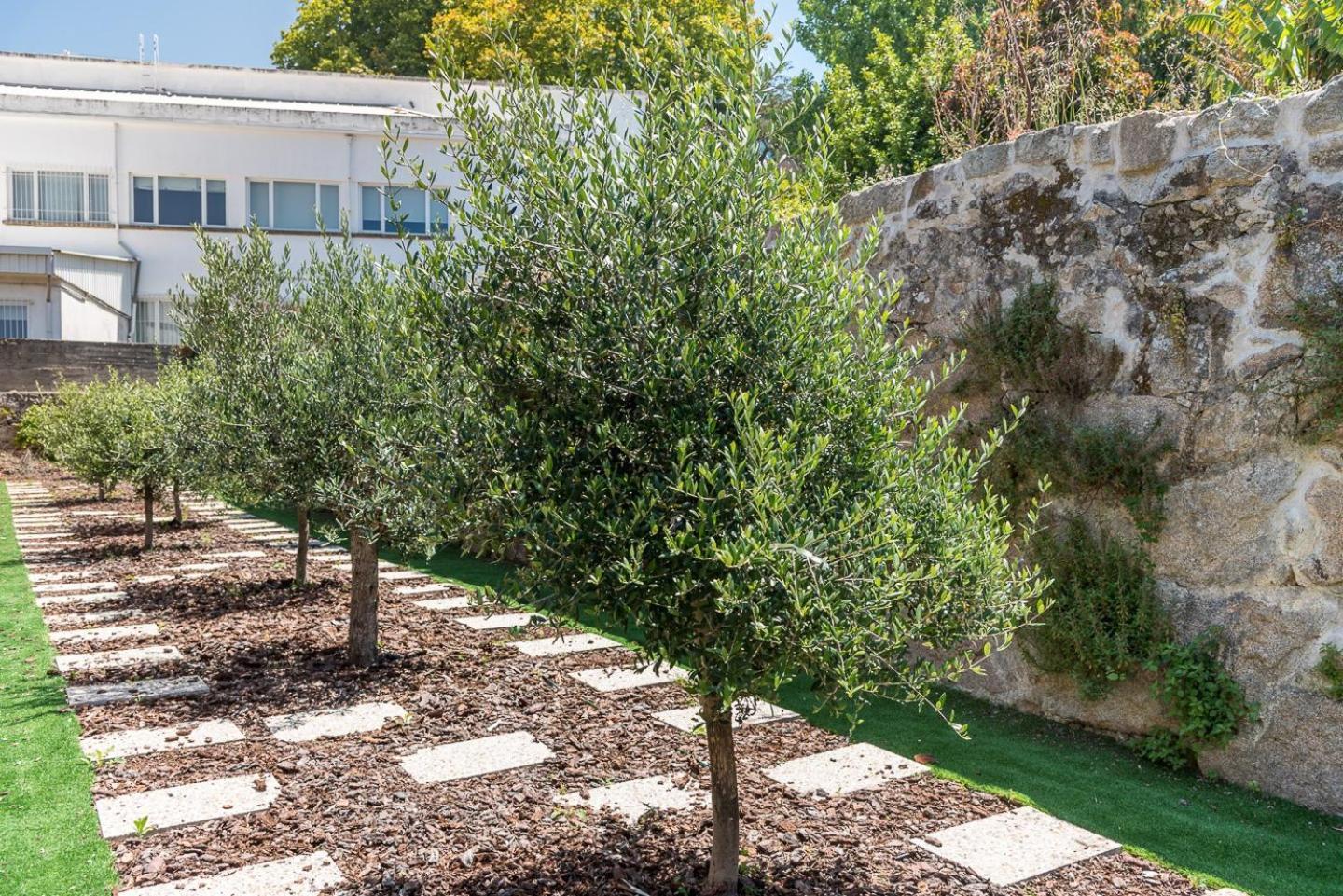 Guestready - Jardim Das Oliveiras Guesthouse - 2 Porto Exterior photo